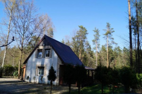 Uroczy Dom Lerniskowy W Bogaczewie Nad J. Narie, Bogaczewo